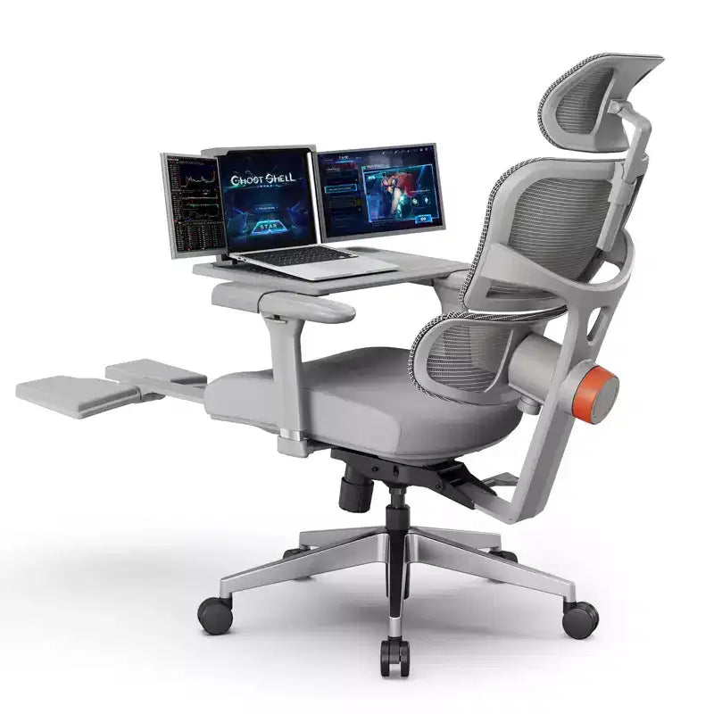 Ergonomic Office Chair with Footrest - 4D Armrest Recliner Chair - NT002+LAPD-GRAY