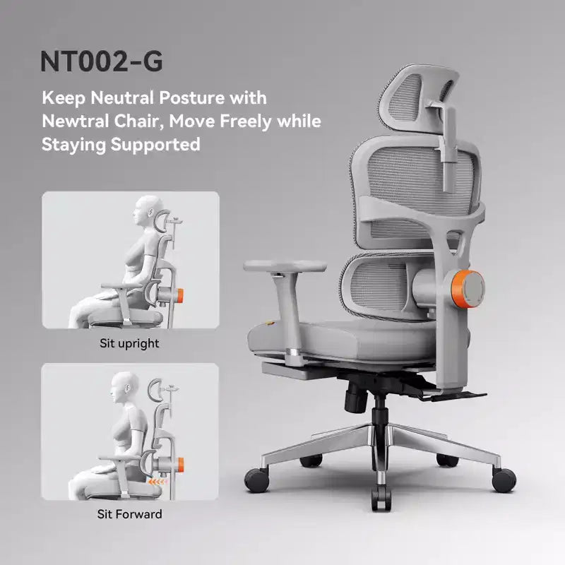 Ergonomic Office Chair with Footrest - 4D Armrest Recliner Chair - NT002+LAPD-GRAY