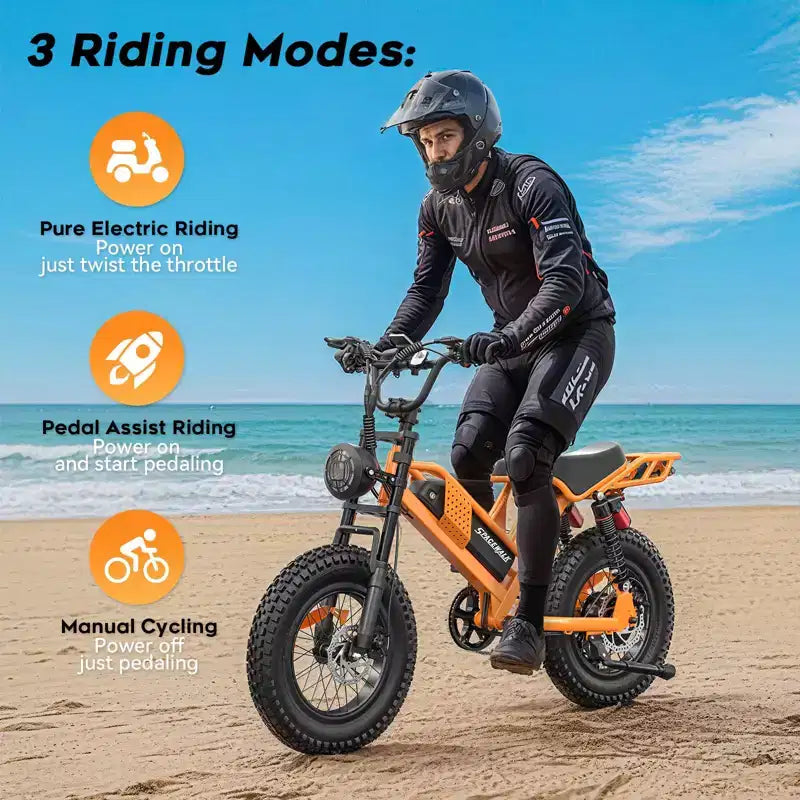 Eilleo 20 Fat Tire E-Bike  750W Motor (920W Peak), 24.9 mph, 5070 Mile Range, 48V 15.6Ah Battery, Dual Suspension, Shimano 7-Speed