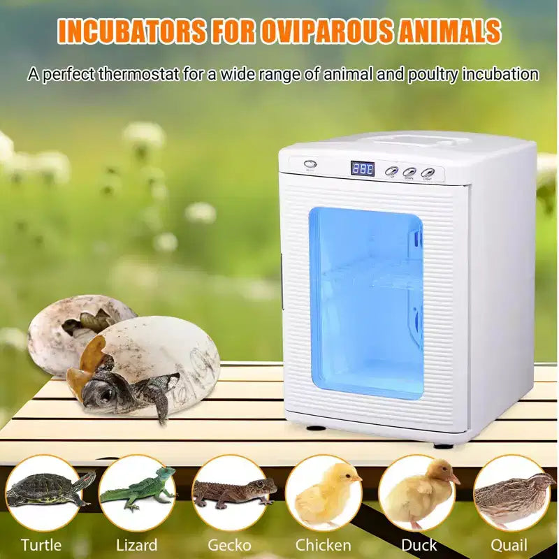 Reptile Incubator, 25L Hatching Eggs Incubator - 10C-60C Temperature Controlled, 12V/110V Portable Digital Incubator for Small Reptiles