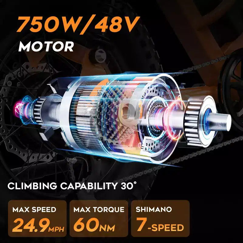 Eilleo 20 Fat Tire E-Bike  750W Motor (920W Peak), 24.9 mph, 5070 Mile Range, 48V 15.6Ah Battery, Dual Suspension, Shimano 7-Speed
