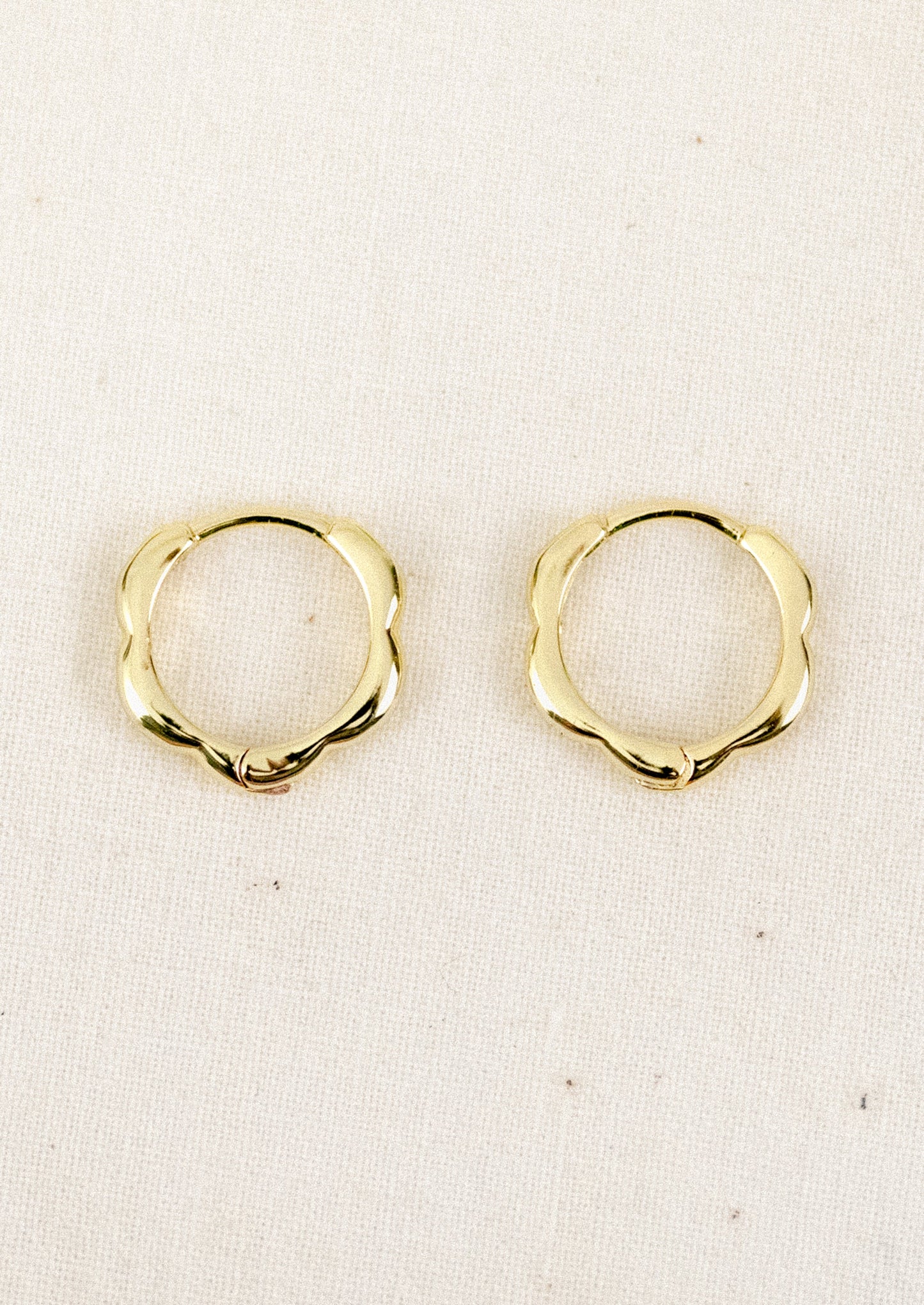 Fashionable hoop earrings in gold and silver